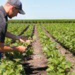farm worker